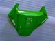 Grün Honda CBR 1000 RR 2006-2007 Verkleidungen Grün Honda CBR 1000 RR 2006-2007 Verkleidungen