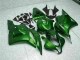 Grün Honda CBR 600 RR 2009-2012 Verkleidungen Grün Honda CBR 600 RR 2009-2012 Verkleidungen