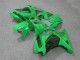 Grün Kawasaki EX250 2008-2012 Verkleidung Grün Kawasaki EX250 2008-2012 Verkleidung