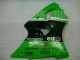 Grün Schwarz Kawasaki ZX6R 2000-2002 Verkleidungen & Plastik Grün Schwarz Kawasaki ZX6R 2000-2002 Verkleidungen & Plastik