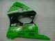 Grün Schwarz Kawasaki ZX6R 2000-2002 Verkleidungen & Plastik Grün Schwarz Kawasaki ZX6R 2000-2002 Verkleidungen & Plastik