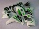 Grün Weiß Honda CBR 1000 RR 2008-2011 Vollverkleidung Grün Weiß Honda CBR 1000 RR 2008-2011 Vollverkleidung