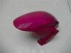 Lila Honda CBR 600 RR 2003-2004 Verkleidung Lila Honda CBR 600 RR 2003-2004 Verkleidung