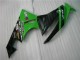 Schwarz Grün Kawasaki ZX6R 2009-2012 Verkleidungen Komplett Sets Schwarz Grün Kawasaki ZX6R 2009-2012 Verkleidungen Komplett Sets