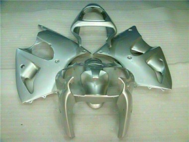 Silber Kawasaki ZX6R 2000-2002 Verkleidungen